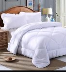 IMG-20250220-WA0017